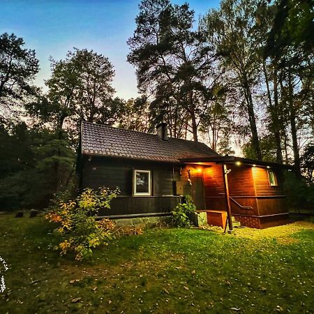 Villa Ranczo Wilkowyja Wilkowyja  Exterior foto