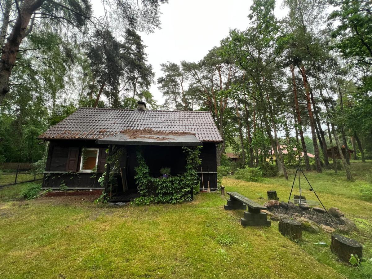 Villa Ranczo Wilkowyja Wilkowyja  Exterior foto